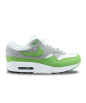 NIKE AIR MAX 1SP 20TH ANNIVERSARY CHLOROPHYLL HF1012-300